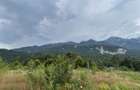 Teren 1000 mp & Proiect Duplex P+E, Sinaia - Zamora, Panorama Bucegi - 4