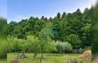 Casa P+M cu teren de 1.000 mp, situata la marginea padurii. - 6