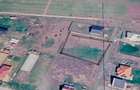 Teren intravilan 1000 m2 Mandruloc-Arad zona linistita cu utilitati 44.000 EUR - 5