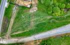 Teren 646mp intre Bran si Zarnesti (Tohanita,) intravilan - 5
