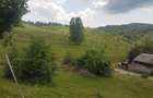 Teren de 1700 mp, în Pietroșița - 5