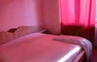 Inchiriez apartament 2 camere - zona Complex Studen?esc - 2
