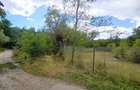 Teren intravilan 4.280 mp - Dobreni, Neamt - asfalt, 65 m deschidere - 2