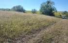 Investitie in natura 2.900 mp la 16 euro/mp in Macicasu/Chinteni - 2