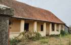 Casa veche din 1955 si teren intravilan 6153 mp,Localitate Sinersig ,jud Timis - 11