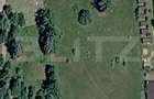 Exclusivitate - Teren intravilan, 10,000 mp - Colibita