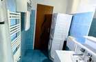 Apartament 1 camera , confort 1