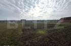 Teren intravilan 1.600 mp | Vintu de Jos