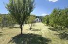 TEREN 1.000 MP IN CARTIERUL BUDA Ramnicu Valcea | Utilitati complete - 4