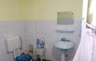 Casa individuala, Timisoara, zona Modern, 3 camere, 450mp teren - 6
