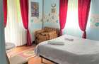 Arta si design in incantarea naturii, oportunitate rezidential/ turistic, Predea - 7
