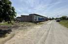 Spatiu comercial 435 mp stradal cu vitrina 36 m chiar pe DN39 Tuzla Costinesti - 9