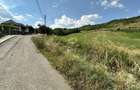 Terenuri intravilane DE VANZARE Strada Lebedei Tarnaveni - 1