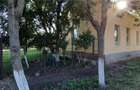 Vand casa mare in comuna Checea jud.timis 55000 euro - 8