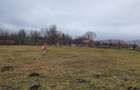 Teren deosebit 11.000 mp + livada de nuci | Parscov Magura, Buzau | ideal pensiune glamping - 2