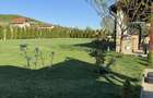 OFERTA Proprietate deosebita Teleac - casa, teren 2000 mp, foisor, gratar zidit - 4