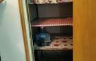 Apartament cu 3 camere decomandat în Radu Negru - 6