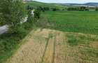 Teren agricol de vanzare Catina, jud. Cluj 16.600 mp - 2