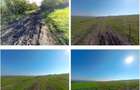 3 terenuri extravilane Havarna, ID: 19006 - 9