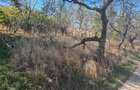 Teren 1300mp Strada Faget Sighet Intravilan!
