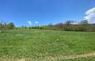 Teren 14,61 ha de vanzare Halmeag, Brasov