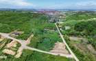 Teren intravilan de vanzare 4.000 mp, Visan - 2