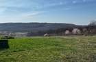 Teren intravilan de vanzare in Betfia, Sanmartin 1.436 mp, asfalt si utilitati la gard - 2