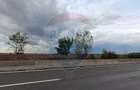 Teren 6,500mp Snagov / DN 1 - 7