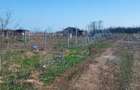 Teren de 800 mp, în Central - 2