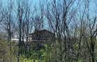 Vand teren extravilan 7800 mp in sat Lipia, com. Gruiu, jud. IF