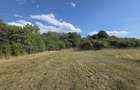 Proprietar | Teren intravilan 3.211 mp Vechea Chinteni | Asfalt, Utilita?i, Internet Fibra, Panorama - 7