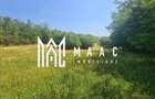 Teren | 2.547mp Intravilan/ 10.375mp Extravilan | Loamne? - 1