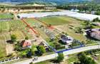 Casă de vânzare în Cernesti, Maramureș - Oportunitate unică