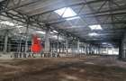 Spatiu productie depozit la cheie Brasov-Carpatilor # CERACTERRA - 6
