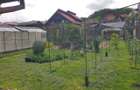 Casa si teren Vladesti Valcea - 8