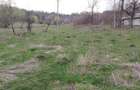 Teren de vanzare Bisoca - 4