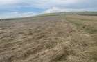 teren agricol arabil - 3