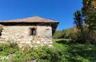 Casa din piatra la poalele Bedeleului Izvoarele, Alba - 14