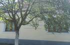 Casa de vanzare in Alio? jude?ul Timi? - 9