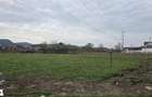 Teren intravilan 2500 mp - Unirea, Str. Platanilor - 2