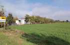 Teren 2.600 mp - deschidere 35m-intrare Pogoanele dinspre Buzau - 2