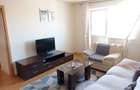 Apartament 3 camere - Malul Timisului - 1