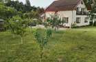 Casă individuală, teren 3275 mp, 6 camere, livadǎ cu pomi fructiferi - 2