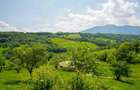 Teren intravilan de 5495 mp, în Bran - 17