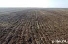Vand teren agricol 15000 mp - 1