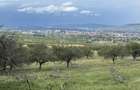 Teren de 1358 mp, în Central - 2