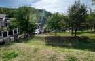 Teren Construcții intravilan de 8000 mp, în Gura Beliei - 6