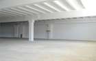 Spațiu industrial, de 1,000 mp, în Central - 1