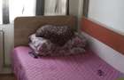 Apartament 2 camere zona Tractoru-Constructorilor - 4