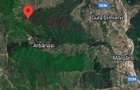 Padure de fag, stejar, cire?, salcam.,66+22hectare. - 2
